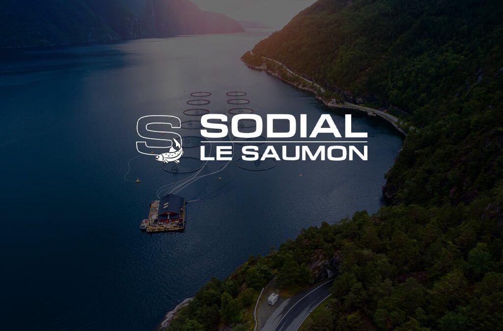Saumon Fumé Écosse Entier (environ 1,2 kg)