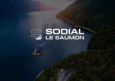 Saumon Mariné Gravlax (environ 1,2 kg)